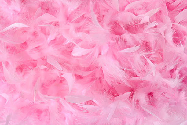 Soft Pink Feather Photo Prop Bower – Glitter Arty Nails